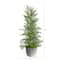 27" Californian Cedar Artificial Christmas Tree in Decorative Planter